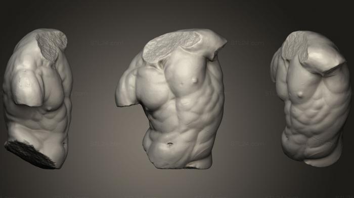 Анатомия скелеты и черепа (Торс Гадди, ANTM_0556) 3D модель для ЧПУ станка